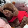 Bob Peng - @bob.peng1 - TikTok