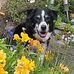 Bob Penman - Facebook