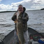 Bob Pennington - @bobpenn1 - Instagram