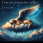 Bob Pennington - Facebook