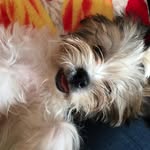 Bob Peralta - @_bobperalta_ - Instagram