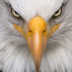 Bob Perez - Facebook