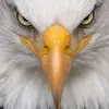 Bob Perez - @bob.perez94 - TikTok