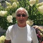 Bob Philip - @bobphilip2209 - Instagram