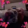 bobbiphipps3 - @bobbiphipps3 - TikTok