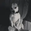bobbypickard1 - @bobbypickard1 - TikTok