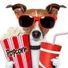 bobbypickard6 - @bobby.pickard - TikTok