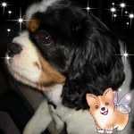 Bob Pike - @bob.pike.37 - Instagram