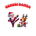 Bob Poole - @senseisantabob - Instagram