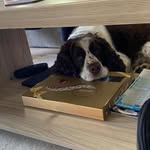 Bob Poole - @mrrbpoole - Instagram
