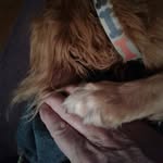 Bob Poole - @bobpoole7540 - Instagram