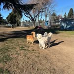Bob Poole - @b0bbyj11_ - Instagram