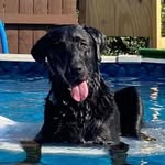 Bob Poole - @bob.poole.733450 - Instagram