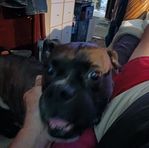 Bob Poteet - Facebook