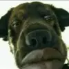 Professor Stinkybob - @prof.stinkybob - TikTok