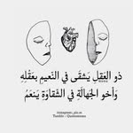 Nouni Bob - @proud_mom_of_nouni_and_bob - Instagram