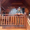 Kob kub - @kobpurchase - TikTok