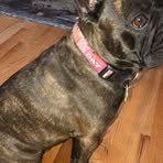 Bob Putz - Facebook