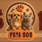 Pets Bob - Facebook
