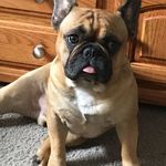 Bob Quigley - @biggquiggs - Instagram
