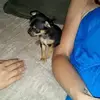 Bobby Quigley - @user016755894 - TikTok