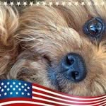 Robert Ramey - @bob_ramey1938 - Instagram