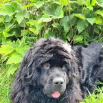 Bob Ramsay - @bob.ramsay.7334 - Instagram