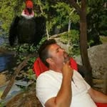 Bob Ramsay - @bob_ramsay - Instagram
