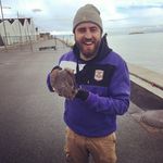 Bob Rauer - @rauerbob - Instagram