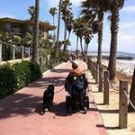 Bob Raven - @jussittin - Instagram