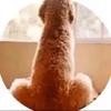 Bored man - @usermqsh3dbdzt - TikTok