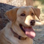 Bob Reitz - @robertgreitz - Instagram