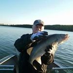 Bob Renner - @rennerbob - Instagram