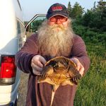 Bob Renner - @bobrenner - Instagram