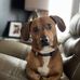 Robert Renner - Facebook