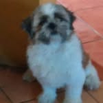 Bob Reyes - @bob.reyes.902266 - Instagram