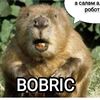 BOBRIC - @_bobric - TikTok