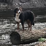 Bob Rigg - @rgkrigg - Instagram