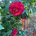 Bob Riggan - Facebook