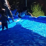信國 聖義 - @bobring - Instagram
