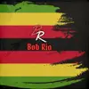 Bob Rio🇿🇼 - @robychibaya1 - TikTok