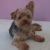 Bob - @bob_rios - TikTok