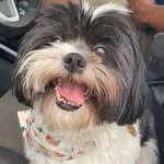 Bob Nelson de Almeida Cavalcante Rios - @bob_rios_ - Instagram