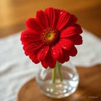 Robert Roff - Facebook