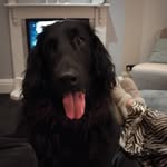 Andrew James - @roofbob30 - Instagram