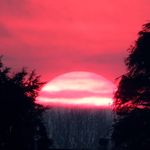 bob roof - @roofbob - Instagram