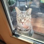 Bob Roof Sr. - @sr.bobroof - Instagram