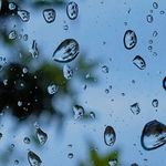 Bob Rosati - @bob.rosati.0 - Instagram