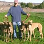 Bob Rosko - @rosmor.dogs - Instagram