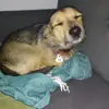 mega🐕‍🦺szefx - @bobroskoczek - TikTok